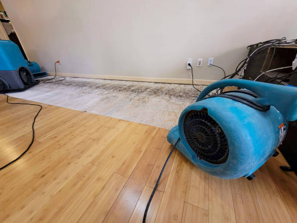 Professional Water Extraction technician working in Prospect, OR